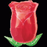 18"玫瑰花葩(#12023)  240.NTD