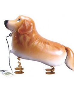 黃金獵犬(922368)  420.NTD