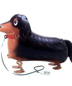 臘腸犬(922436)  420.NTD