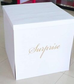 驚喜箱50*50 (標價為單一盒子的價格,不包含其他商品)  600.NTD